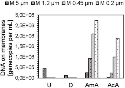 Cascade Filtration With PCR Detection and Field-Flow-Fractionation Online With ICP-MS for the Characterization of DNA Interaction With Suspended Particulate Matter